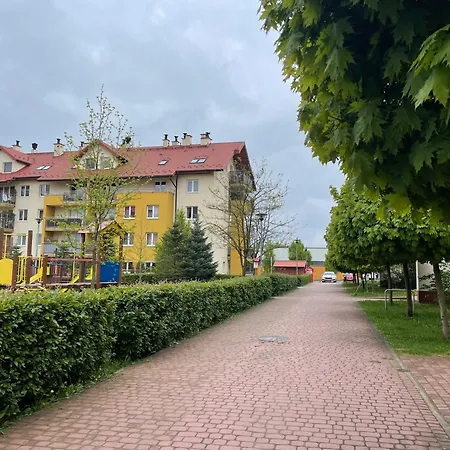 Leska, #rodzinny#fv#24h# *