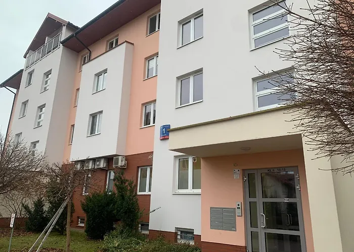 Leska, #rodzinny#fv#24h# *