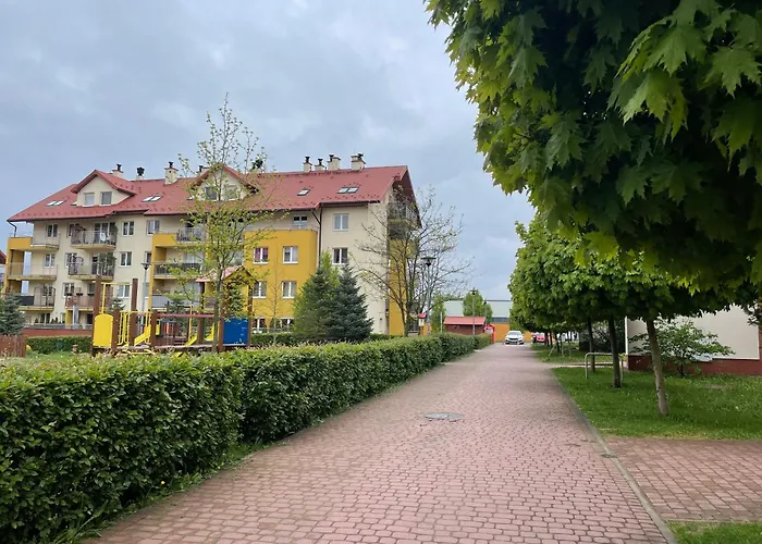 Leska, #rodzinny#fv#24h# *